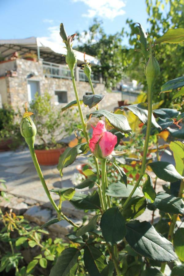 B&B Ca Dei Fre Genua Zewnętrze zdjęcie